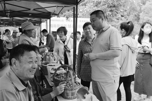 5月18日,柳埠街道第16届大樱桃采摘旅游节正式开幕